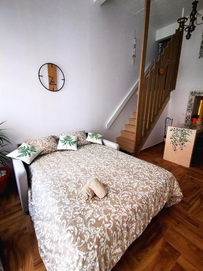 Charming Portuguese Style Apartment, For Rent "Vida A Portuguesa", "Fruta Or Polvo" Alojamento Local Portimão Exteriér fotografie